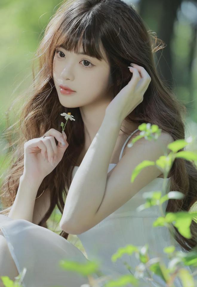 传媒入口 MBA智库冰球突破豪华版大象