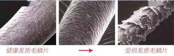 科技干发帽三分钟速干轻松告别湿哒哒！冰球突破豪华版手机版女生值得用的黑(图10)