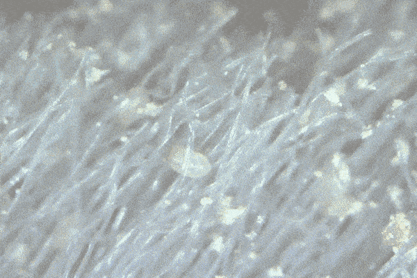 科技干发帽三分钟速干轻松告别湿哒哒！冰球突破豪华版手机版女生值得用的黑(图13)